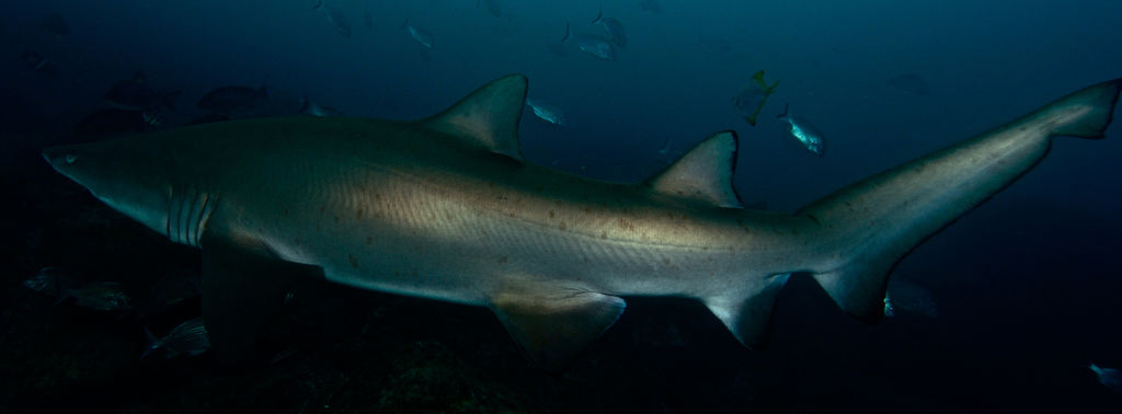 840650de-8baf-4a53-926c-a3eb7938d035