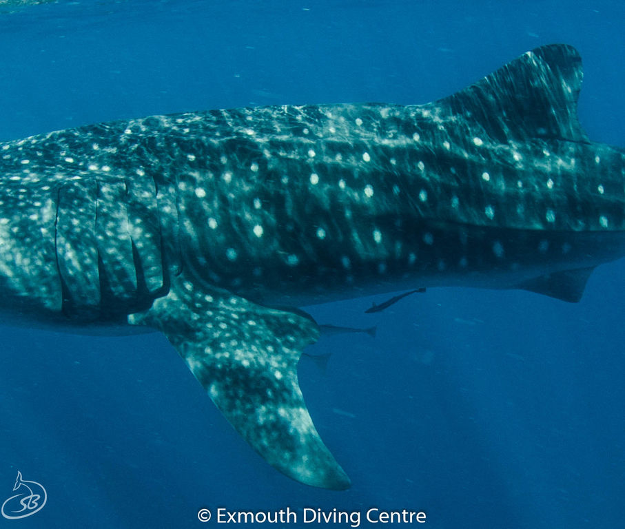 ec7c312e-0a1f-4b69-aa76-12f818bb212d