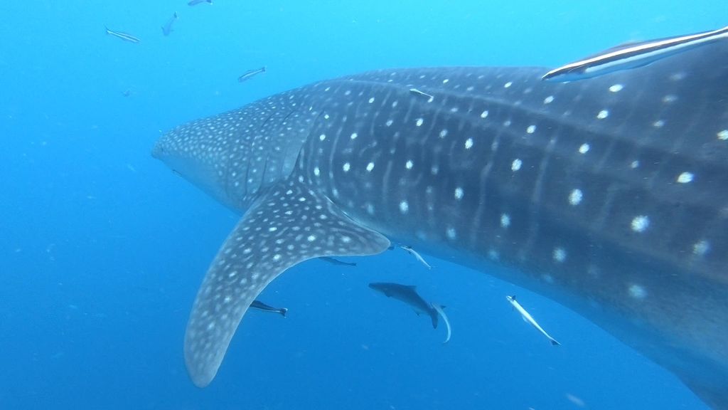 7c744ce4-b12c-4325-9e61-2898cfd71888