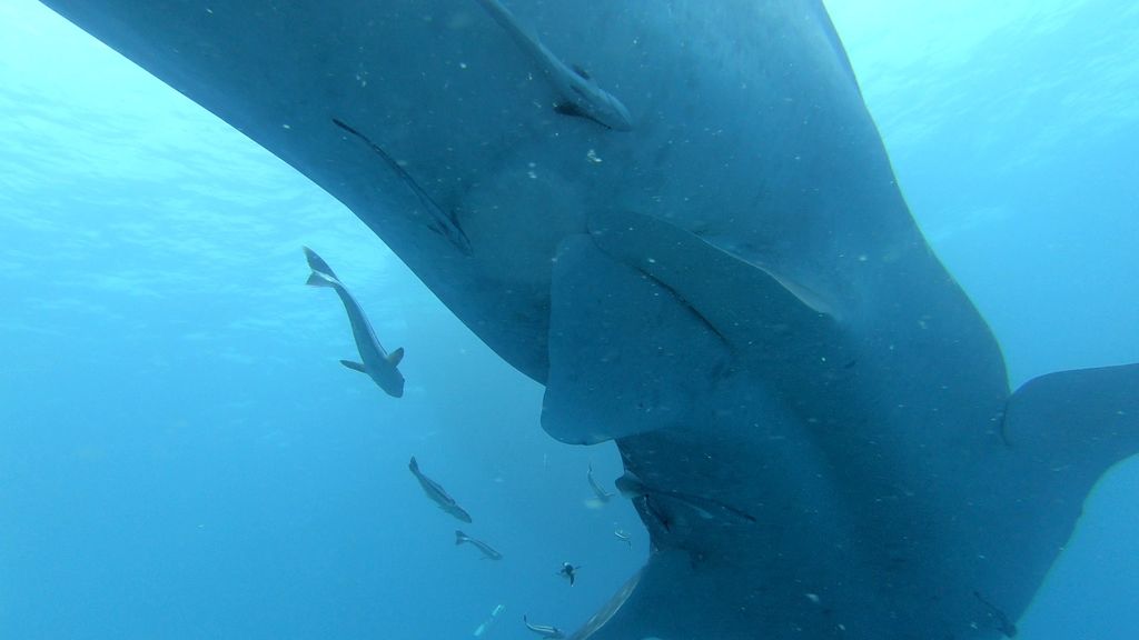 7c744ce4-b12c-4325-9e61-2898cfd71888