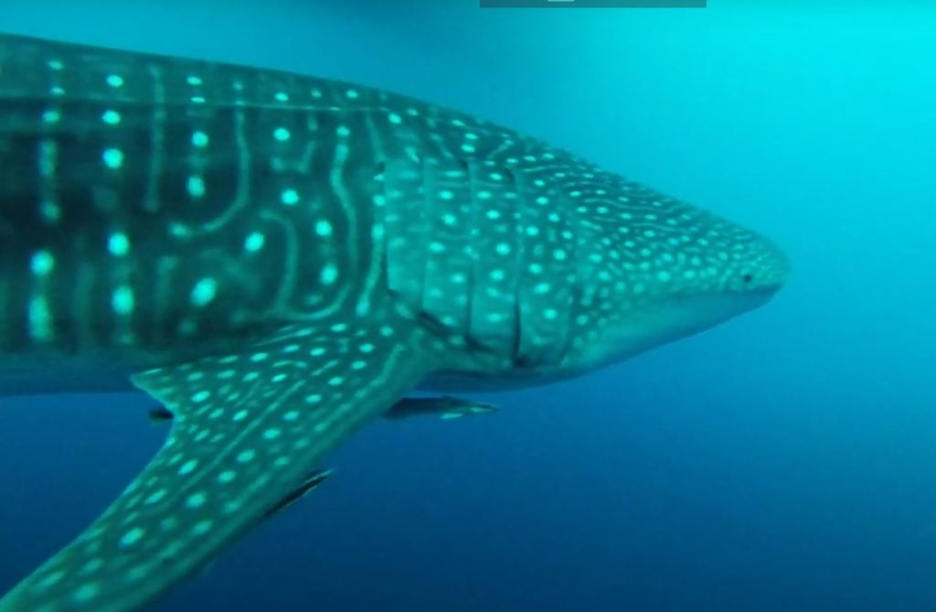 aae152c6-98c6-4a8e-b5f9-8be9e1033329