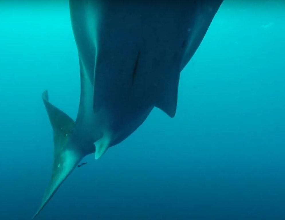 aae152c6-98c6-4a8e-b5f9-8be9e1033329