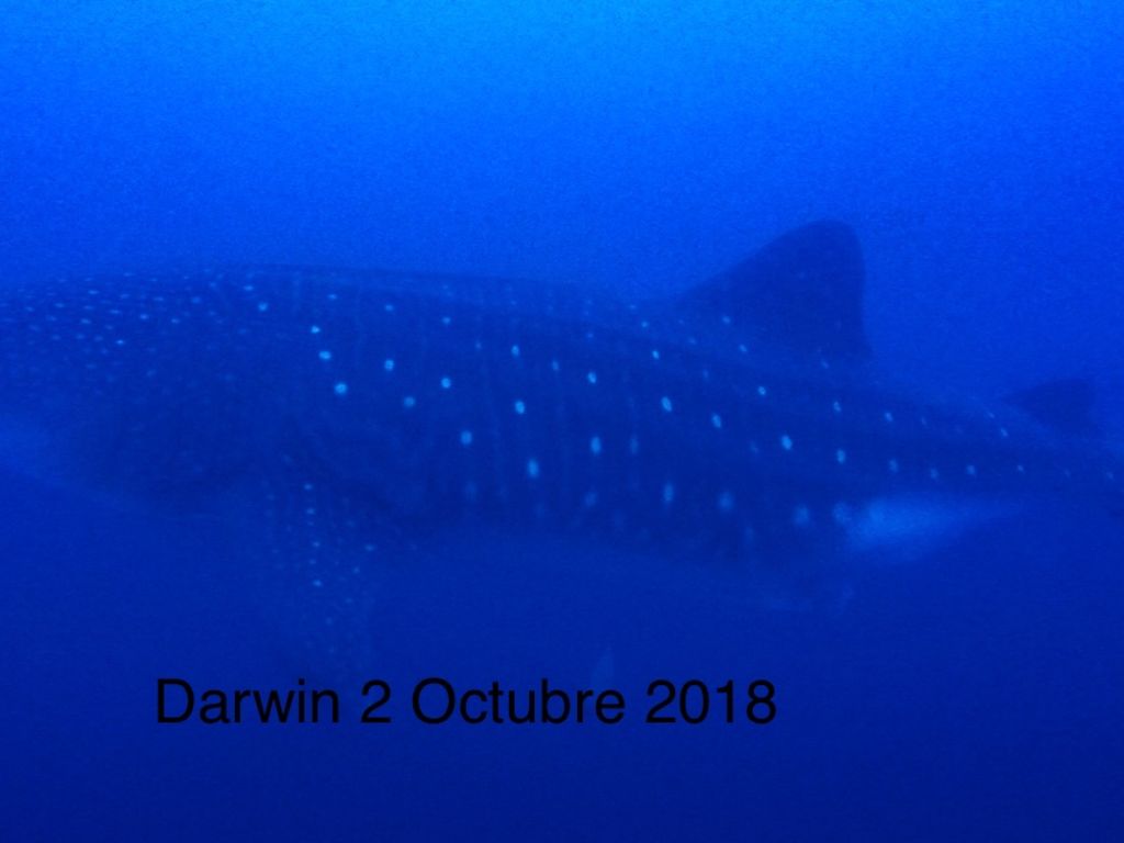 b41193a5-feb6-403d-a1b3-57c4c3e37a71