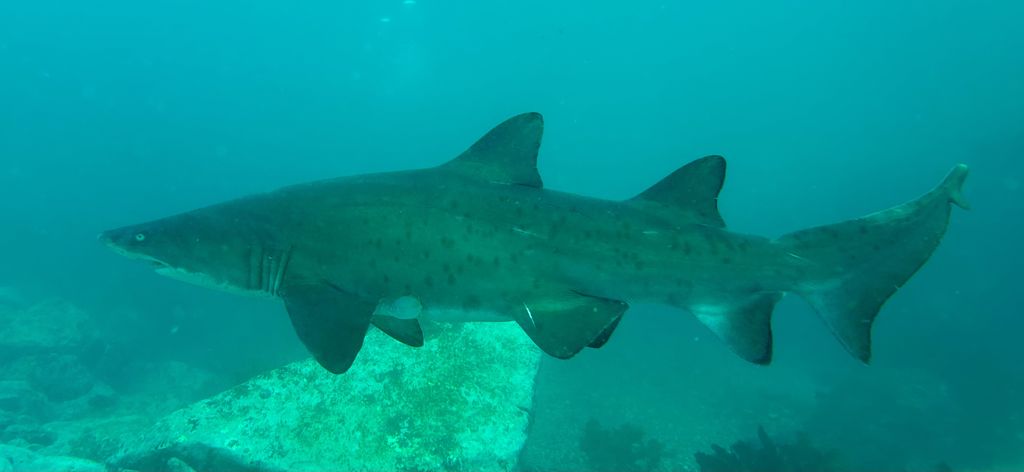 eca169eb-1c7f-4570-b660-6ecb947eee8c