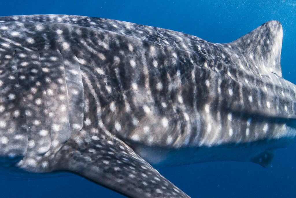 200a472f-c9cf-4716-9825-16eafc7726b8