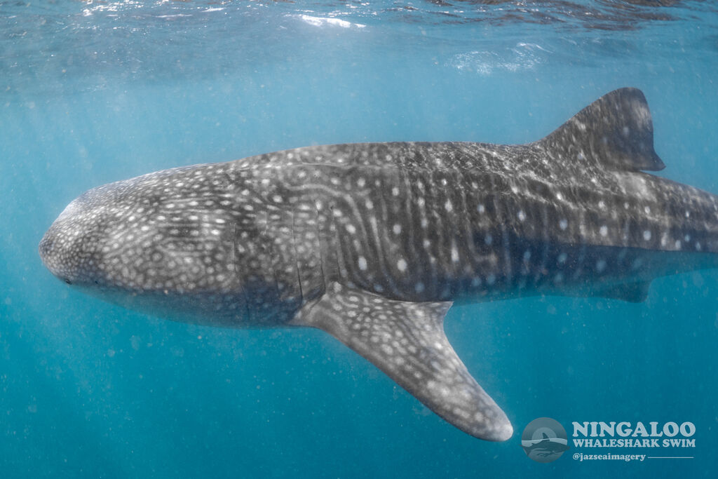 642d4de3-bb3a-4604-8119-d5ba4dc0ed1d