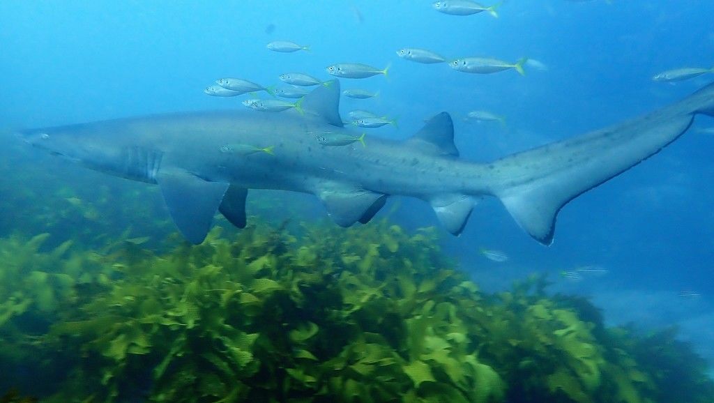 2830440e-90b5-421e-b4d3-bf2ec60e34fa