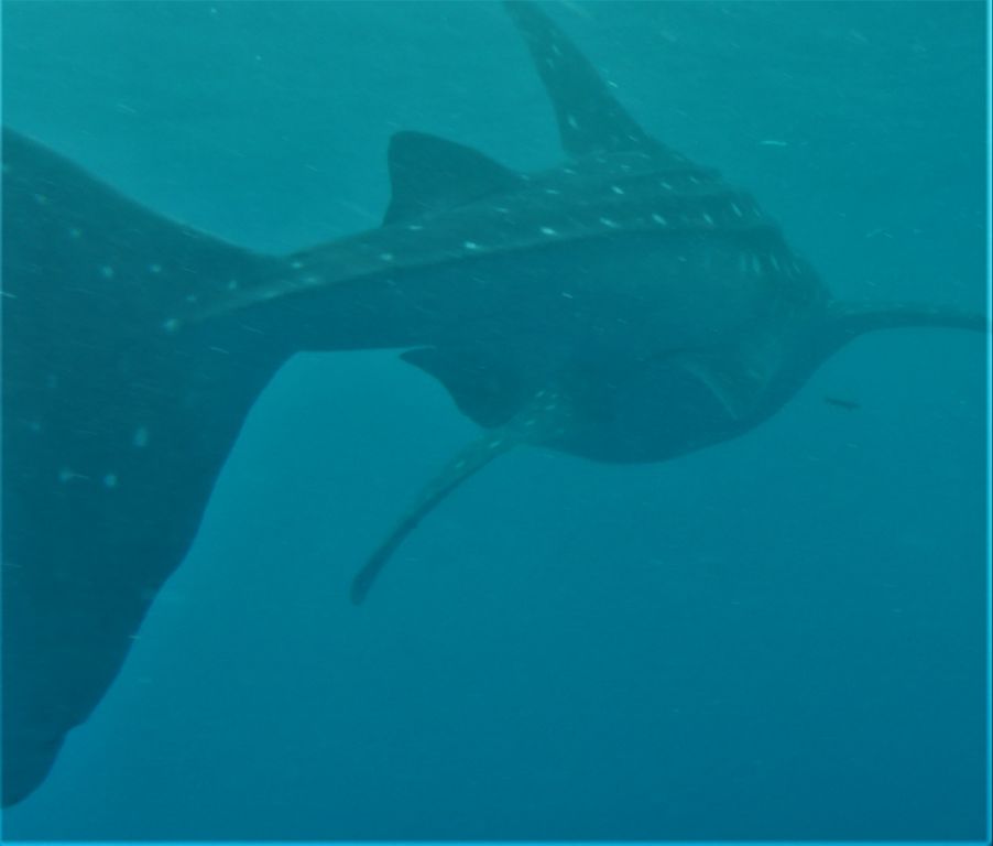 3c262f1f-9dc2-44cc-a174-aa0fb8567b85