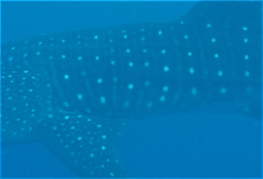 3c262f1f-9dc2-44cc-a174-aa0fb8567b85