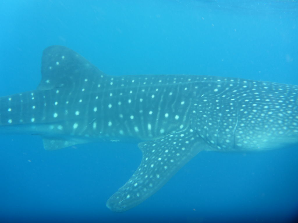 3c262f1f-9dc2-44cc-a174-aa0fb8567b85