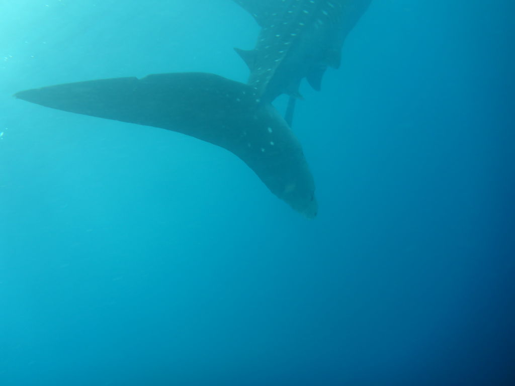 3c262f1f-9dc2-44cc-a174-aa0fb8567b85