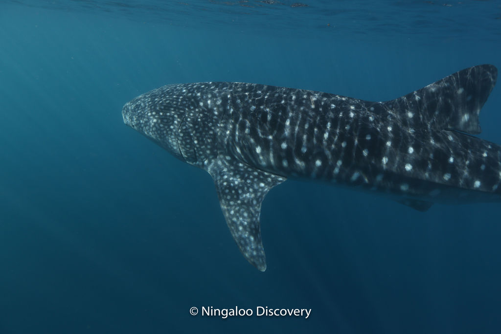 3da6b70d-b913-43ff-b83c-720cca9fafe2