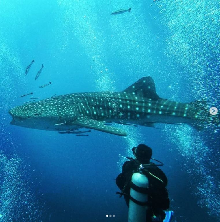 1147d80d-18e6-4487-beee-2c9f76bdf16d