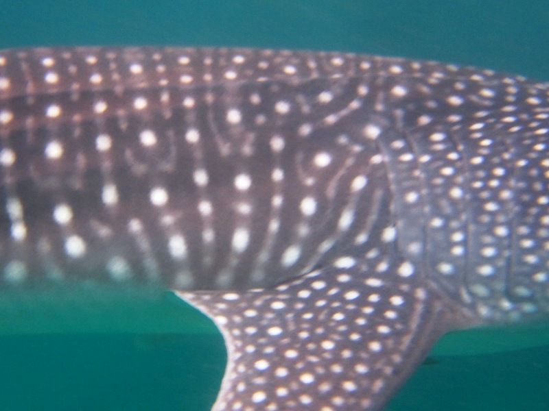 76f2f4b5-0c79-4b11-bba6-4c689d869fdb