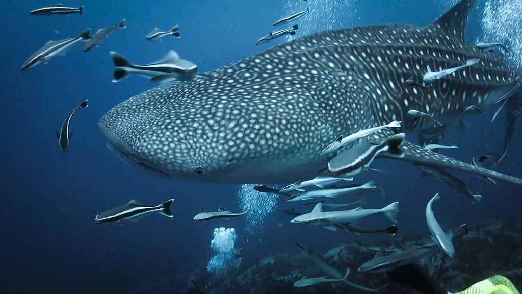 d9e84bbf-ae14-4655-b770-1c3507580244