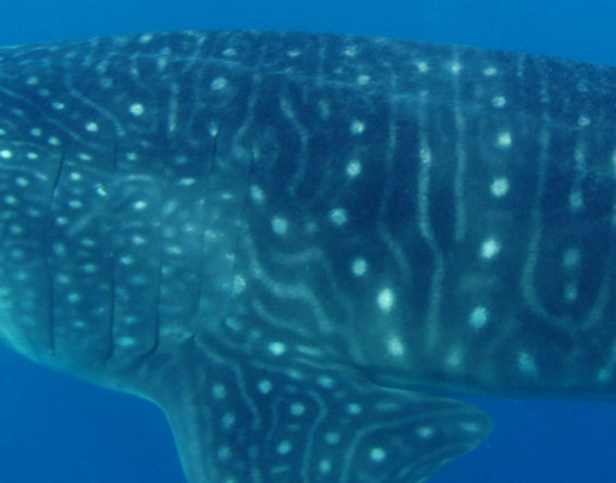 68ec002f-e665-4e7c-9fc0-4c9be9182270