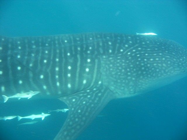 60e4a98c-dffc-4c3e-8b1c-889cec729f9d