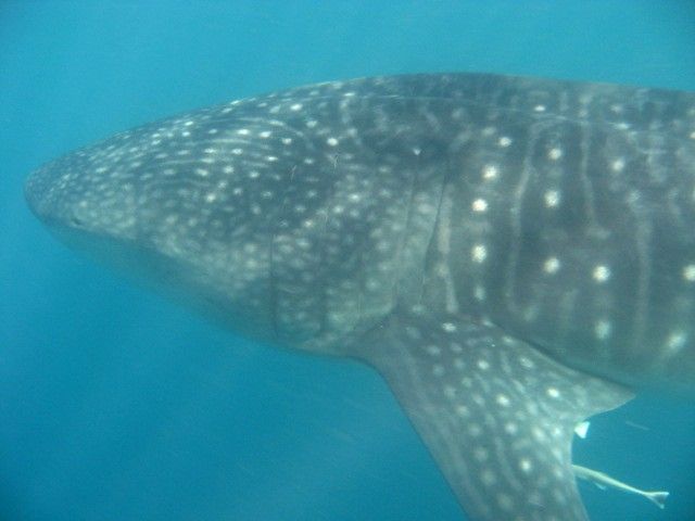 60e4a98c-dffc-4c3e-8b1c-889cec729f9d