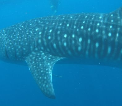 128555f6-de6a-40de-8e4a-f69aa613da5a