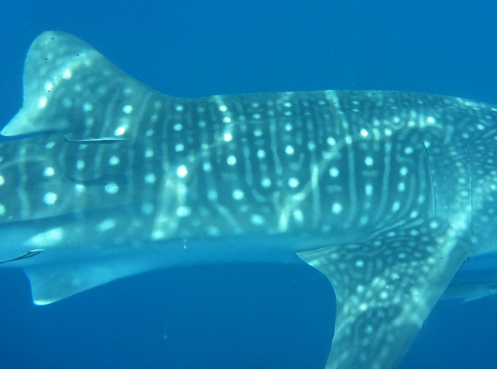 ab944f6b-1c5f-4d50-83f1-75d7a81153b4