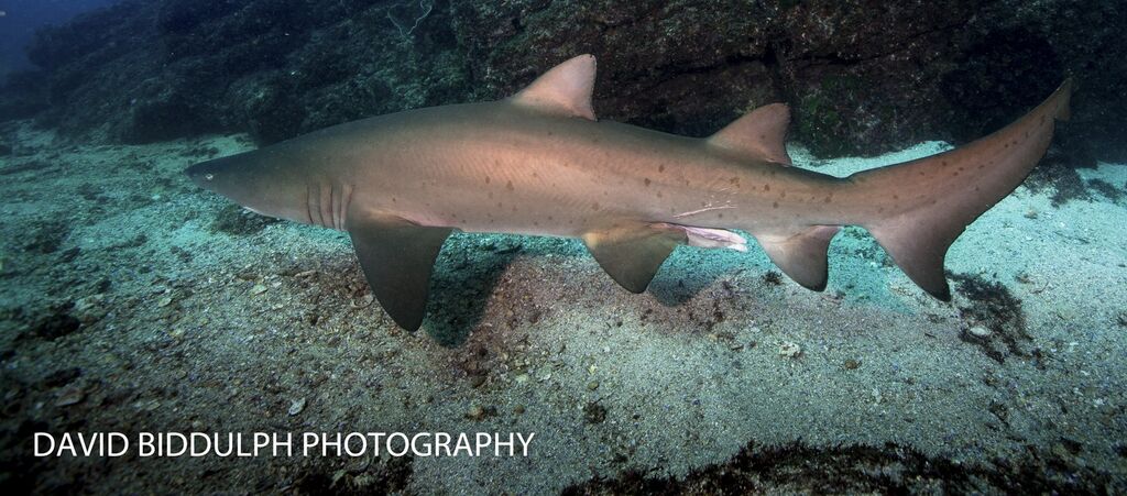 44c422bf-c6da-438c-8489-14e06bec1574