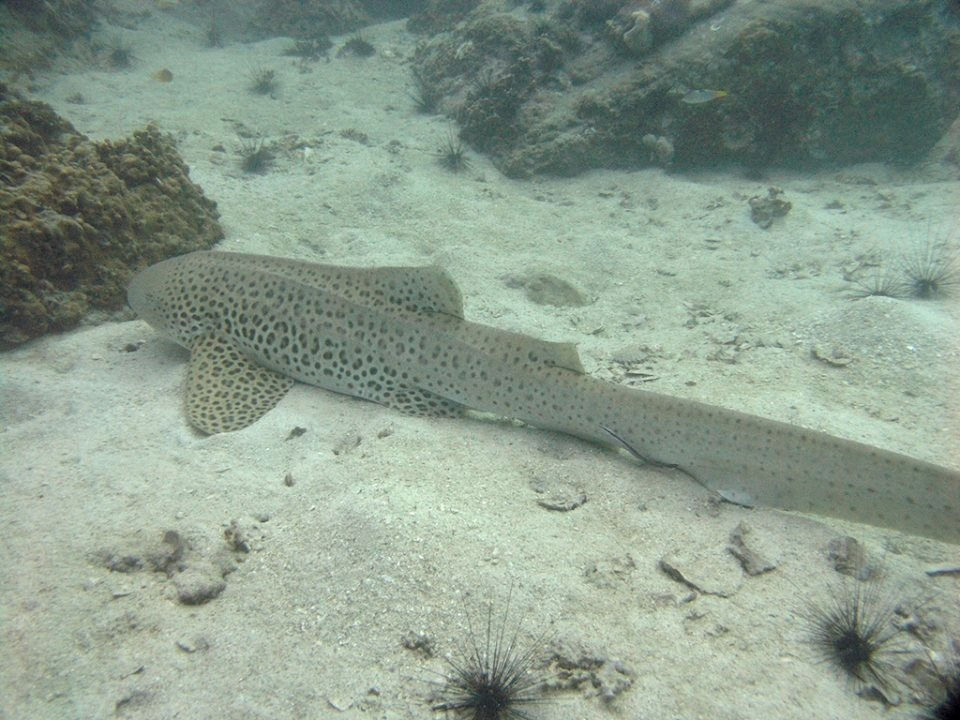 7b0e23bc-4285-4805-af1a-3e2414de75c7