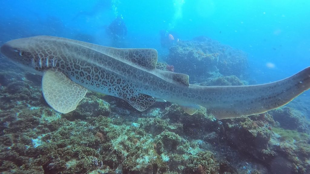 c91419c8-9001-436e-9e49-48d96167deba