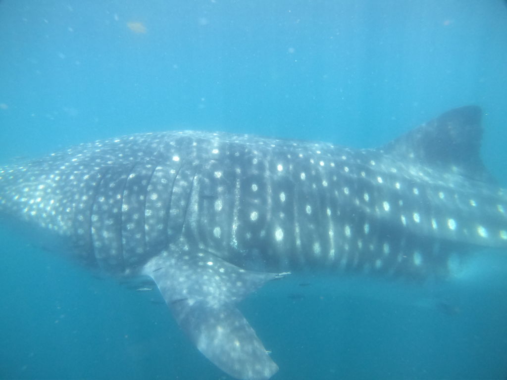 88402304-100c-4a61-ad6d-64f782d58d34