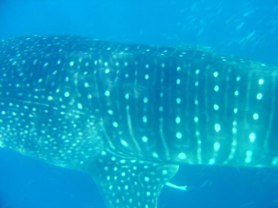 fa3167b3-522d-4e1d-9938-d26da0badde5