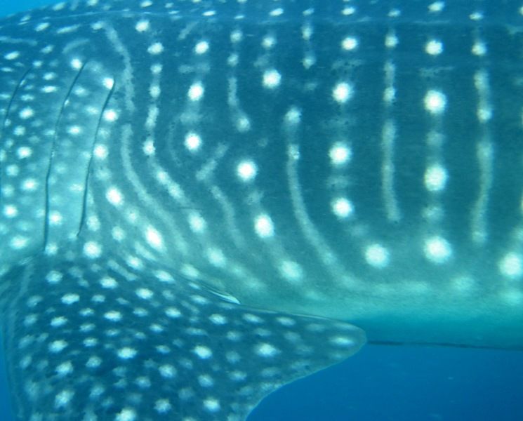 8e33aef3-1a9a-487c-b849-23d5f607f90b