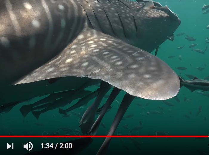 b9164731-ca08-41de-b48c-3610ca27dc81