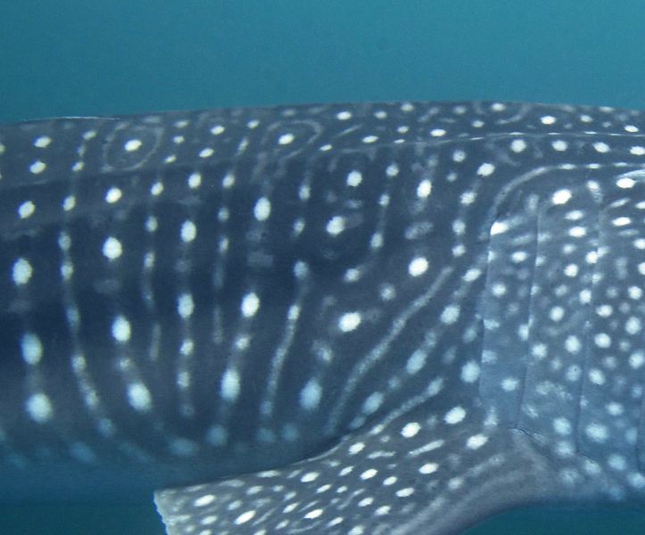 b2ddcebe-79ac-4cc0-bc53-1e7a94093db8