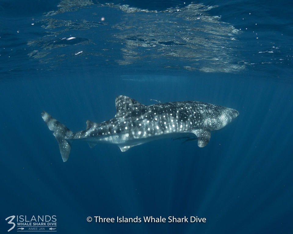 15874d60-371f-437b-8aea-1cd43a5f5df6