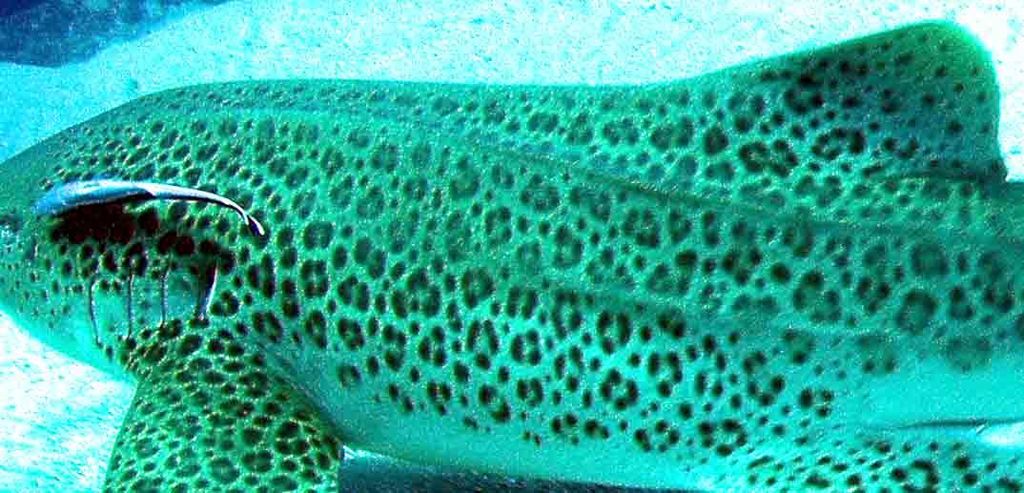 13f80fe7-9147-485e-9e0e-d68ed7ef7f1a