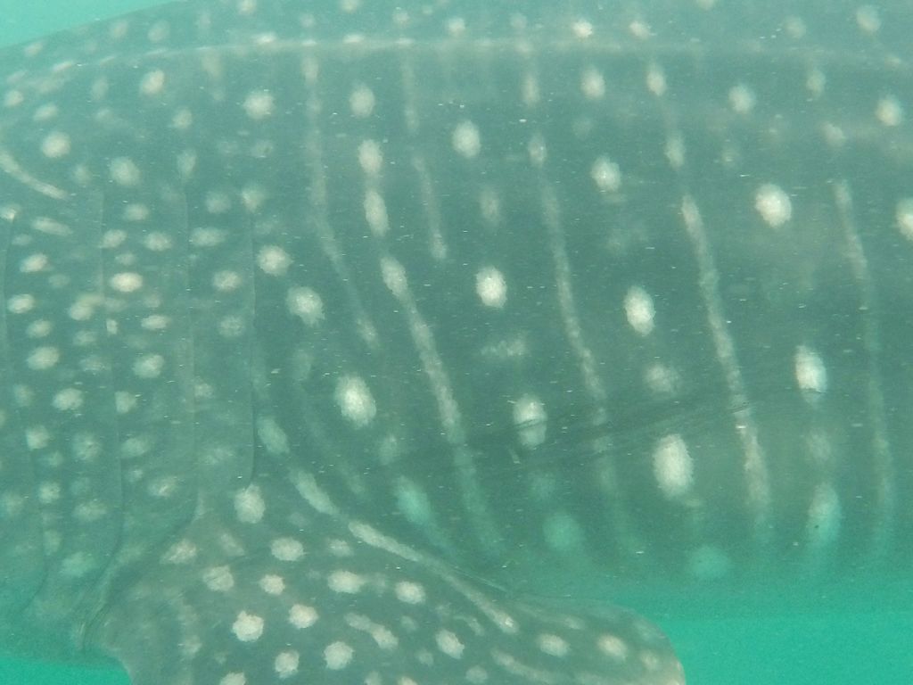 5320e84a-a425-467d-a9e0-33d847331bdf