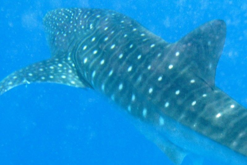 e4eff621-3354-47a7-b627-83b43c33a185