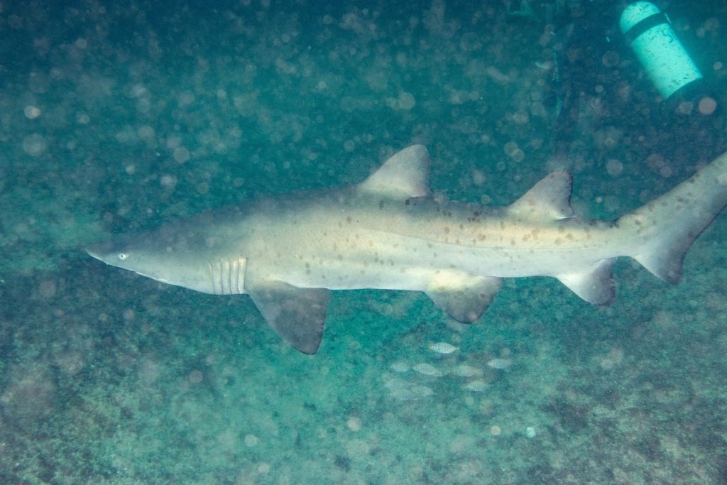 1f59f93b-4f60-46ca-af3f-b14902574ee8