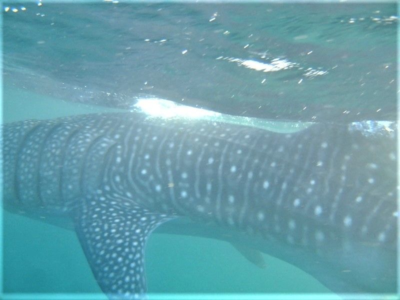 4887e5b8-1dab-498e-8403-bb4795f4b32d