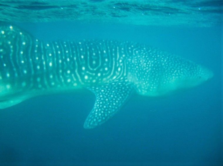 4887e5b8-1dab-498e-8403-bb4795f4b32d