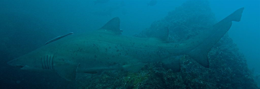 db03f8e0-5ac8-4177-a845-94e9c59049f8