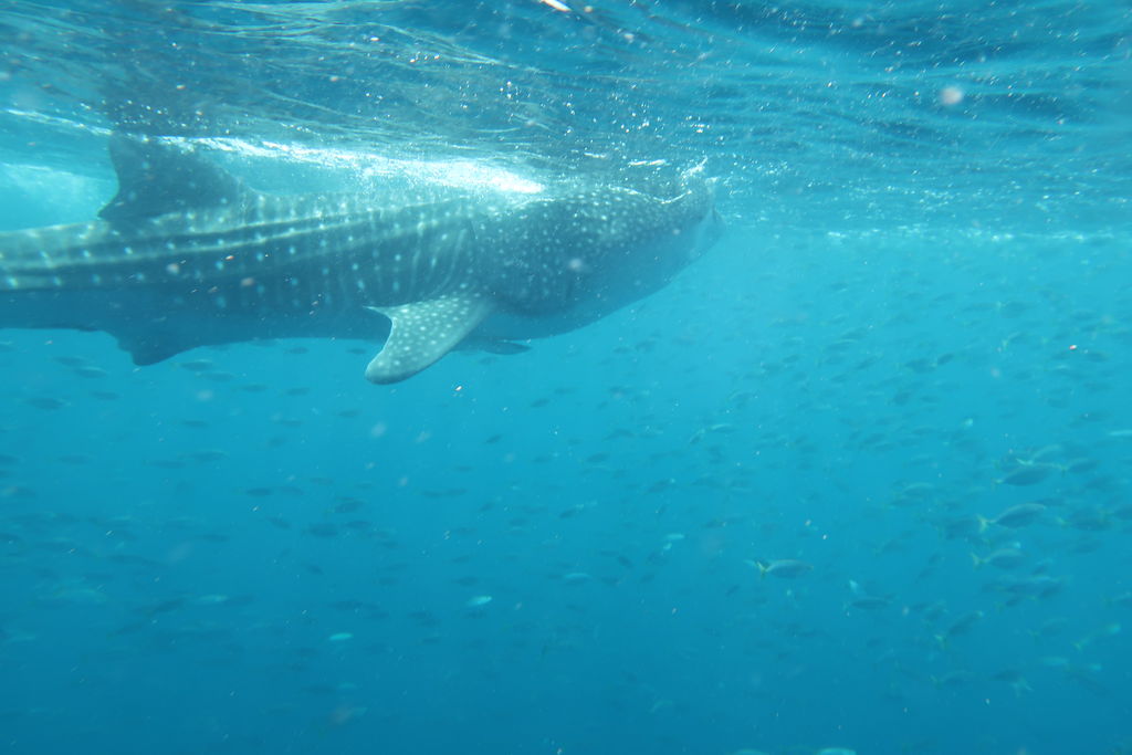 e5d7bd95-9783-4791-a71f-1e2b515e077f