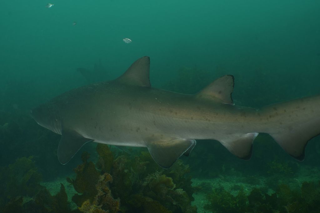 6f32db42-d645-436c-904e-fa5ce0843290