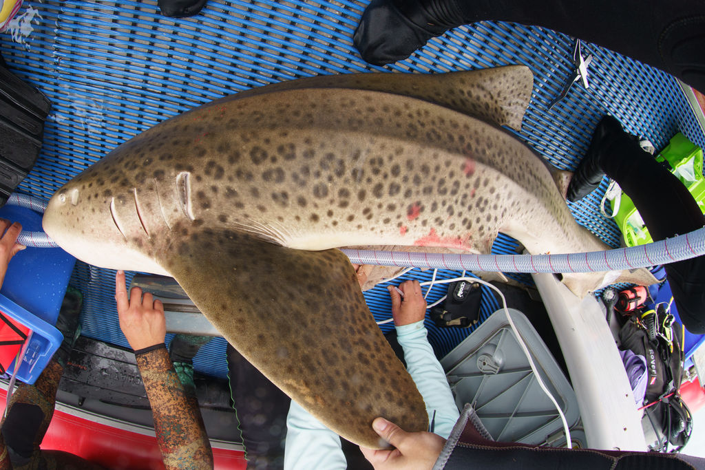 b7efd13c-3344-4132-93c3-73fdd5471348