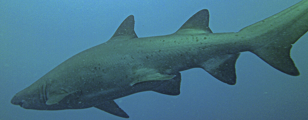 7f1253dc-cdcc-4ae8-8f09-26891f001657