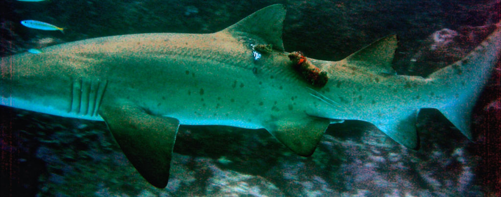 02595c6b-b897-44bf-9c64-cfd4d502ca4b