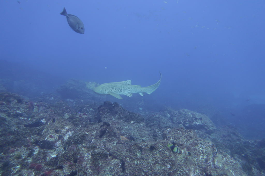 bca42fef-d84a-4ef1-a33a-a37b66d38d1b