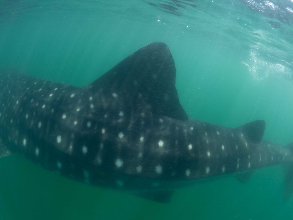 848e8536-4bde-4b25-a927-9905be4e645e