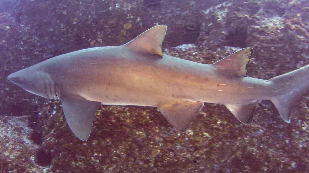 7beb463f-0516-4003-9315-8fc0015d2019