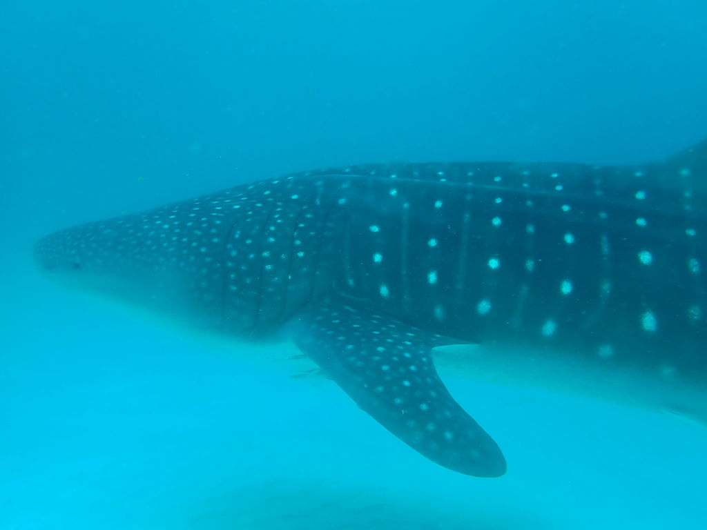 2b118670-05b2-41f2-9e5a-b09f3508ce72