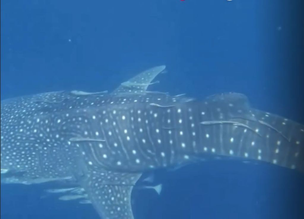 16ce2620-78c1-4d8f-939b-d6b62e3f8f67